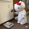 Hello kitty working 20