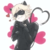 Cat noir 9
