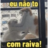 Gatinhos expressivos 5
