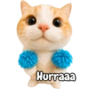 Frases de gatito #2🐱💬 14