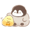 Pollito y pingüino 9