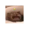 Shitpost de Animalitos 🤑😈 16