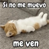 Si no me muevo carols.zdio me ven