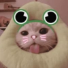 Michis Muy cutes 🩷🐱 10