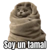 Memes para el frio 🥶❄️☃️ 8