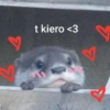 T t kiero <3 Y