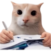 Gatitos para el chat 🫪 10
