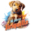 Mi perro Jiriquilla
