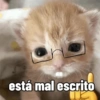 está mal escrito