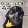 Año Nuevo meme random🎉✨️ 9