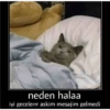 Günaydın-iyi geceler 17