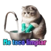 Michi Objeto 🐈‍⬛😽 8