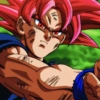 SON GOKU 8