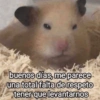 buenos días, me parece una total falta de respeto tener que levantarnos
