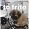 to frito