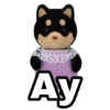 Ay