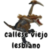 callese viejo lesbiano