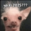 Año Nuevo meme random🎉✨️ 10