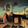 Pink Floyd 20