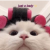 just a kedy
