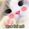 ➳ gato ⊱😽⊱╮
bit.ly/angels-69 28