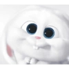 Bunny kelinci 11