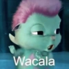 Wacala