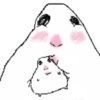 🐹 Hamster Tiktok 4📱 7