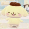 Pompompurin >⩊< 🍮 15