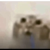 Animales pedorros 21