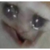 Memes tristes 18