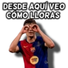 DESDE AQUÍ VEO CÓMO LLORAS