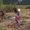 Ultraman  10