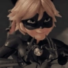 Cat noir 20