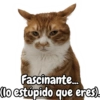 Fascinante... (lo estúpido que eres).