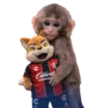 Punch Liga MX 14