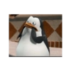 Pinguim  19
