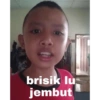 brisik lu jembut