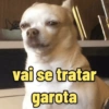 vai se tratar garota