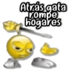 Atrás gata rompe hogares