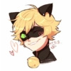 Cat noir 6