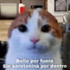 L Bello por fuera Sin serotonina por dentro