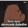 Turkce 5