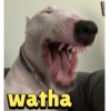 watha E