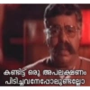 കണ്ടിട്ട് ഒരു അപലക്ഷണം
പിടിച്ചവനെപ്പോലുണ്ടല്ലോ