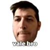 vale bro