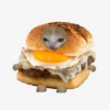 Hamburguesa gato