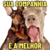 SUA COMPANHIA É A MELHOR