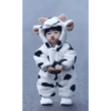 Korean Baby 10