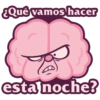 ¿Qué vamos hacer esta noche?